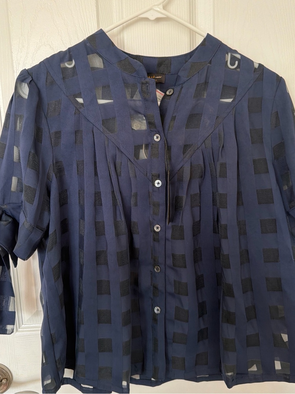 Anthropologie Navy and Black Checkered Sheer Button-Down Shirt